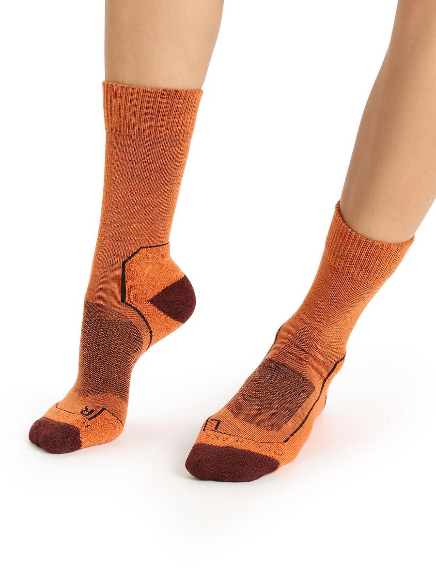 Flash / Espresso Icebreaker Merino Hike+ Light Crew Women's Socks | AU 1424CTVE